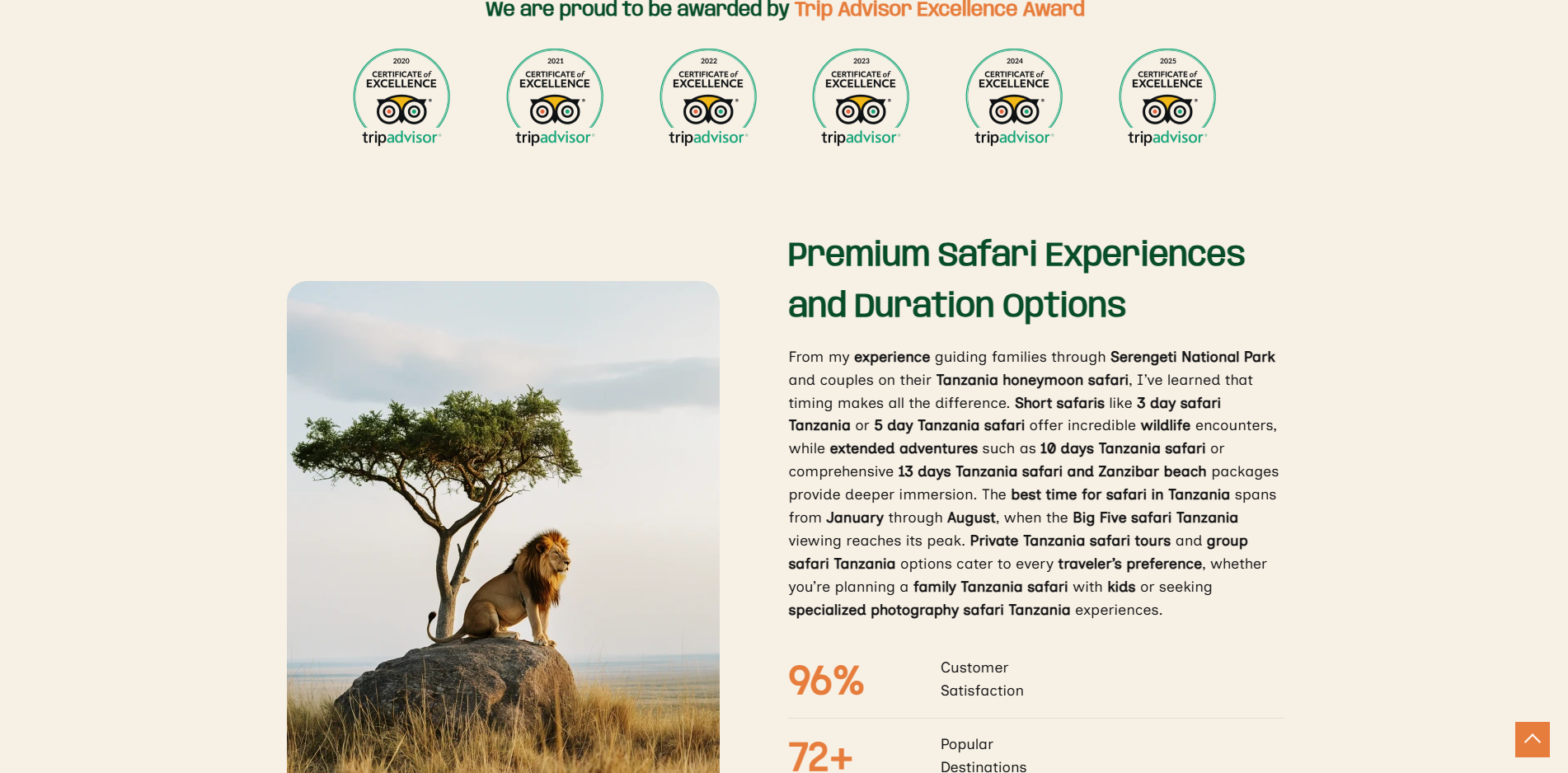 Website Redesigning Travel Brand